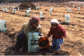 Olympic Landcare Planting 2000